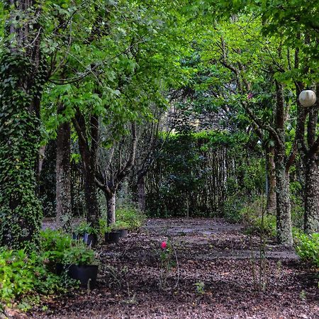 Quinta Da Mafalda Міра Екстер'єр фото