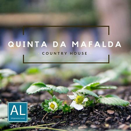 Quinta Da Mafalda Міра Екстер'єр фото