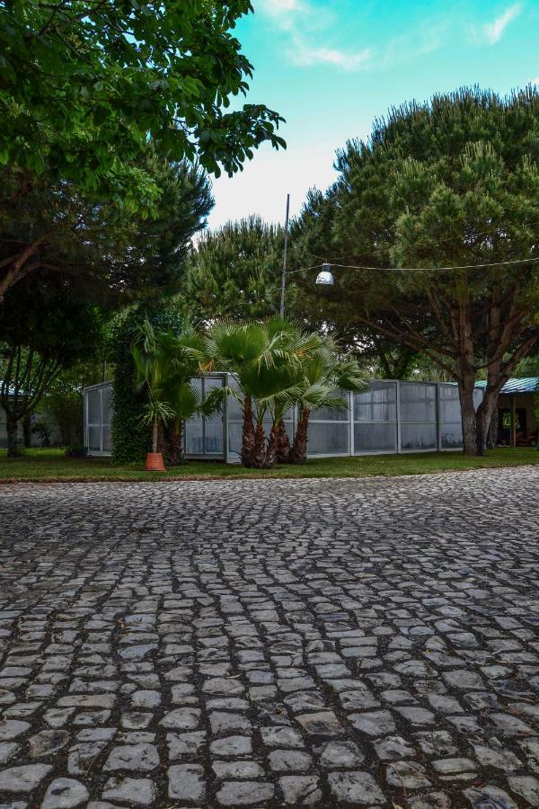 Quinta Da Mafalda Міра Екстер'єр фото