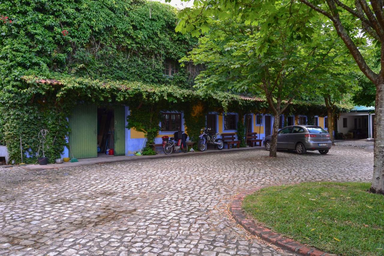 Quinta Da Mafalda Міра Екстер'єр фото