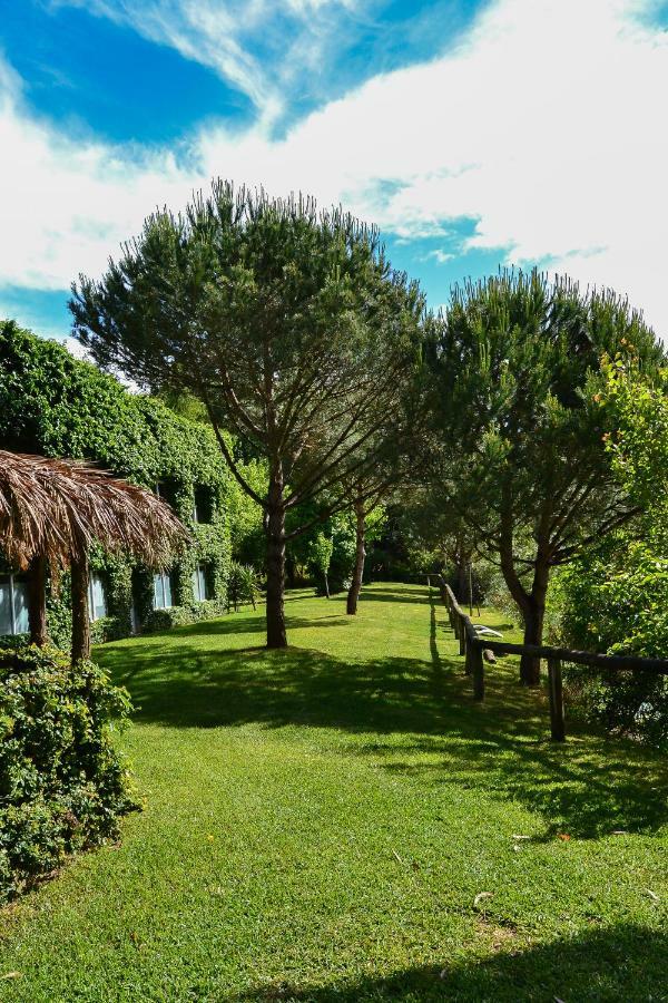 Quinta Da Mafalda Міра Екстер'єр фото