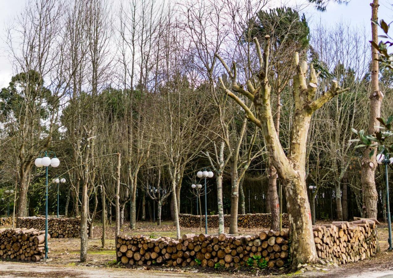 Quinta Da Mafalda Міра Екстер'єр фото