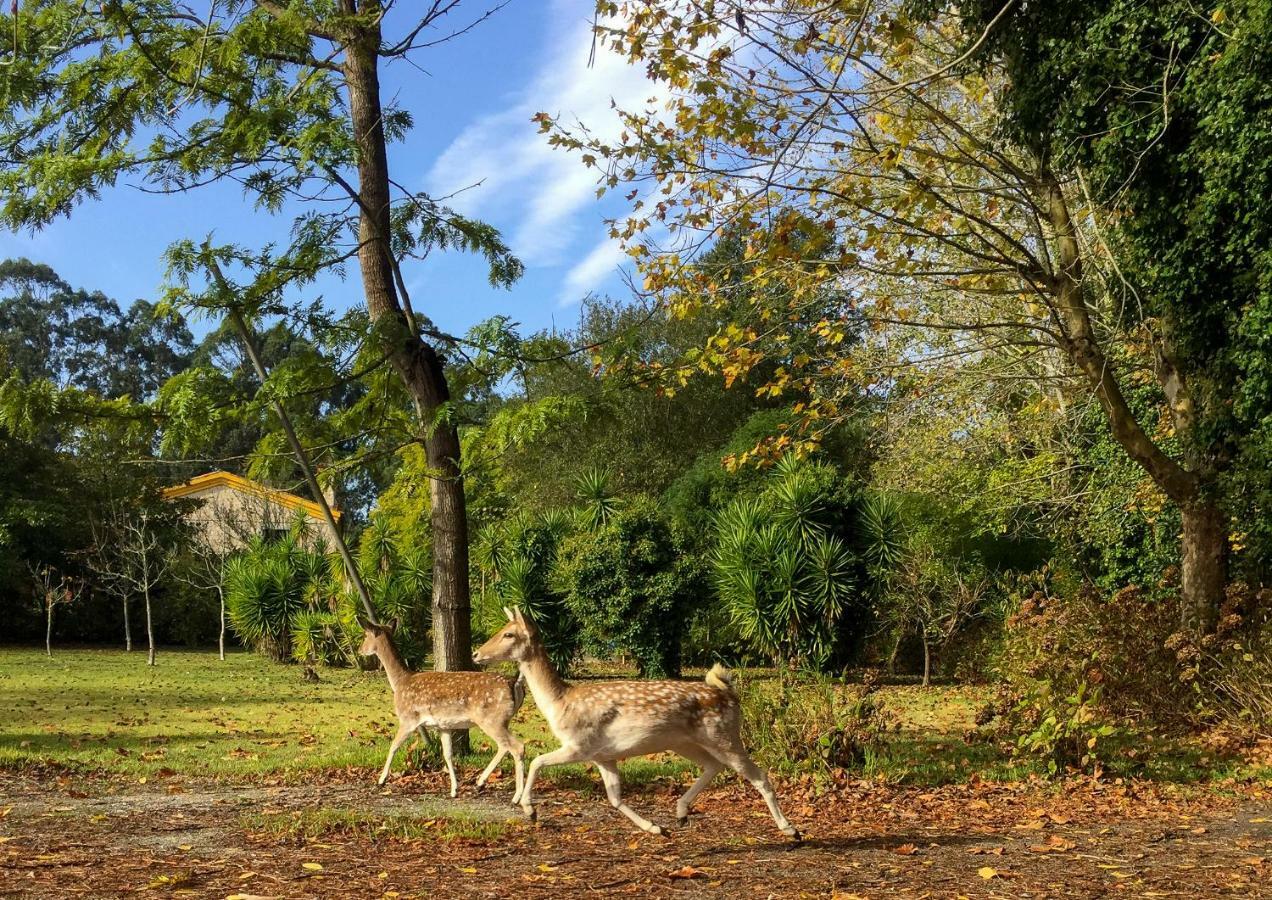 Quinta Da Mafalda Міра Екстер'єр фото